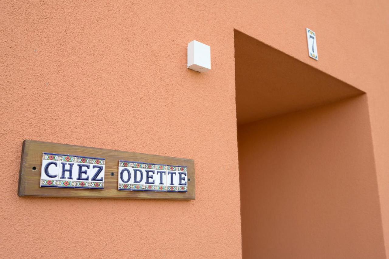 Chez Odette - Spa, Plancha, Parking Albi Esterno foto